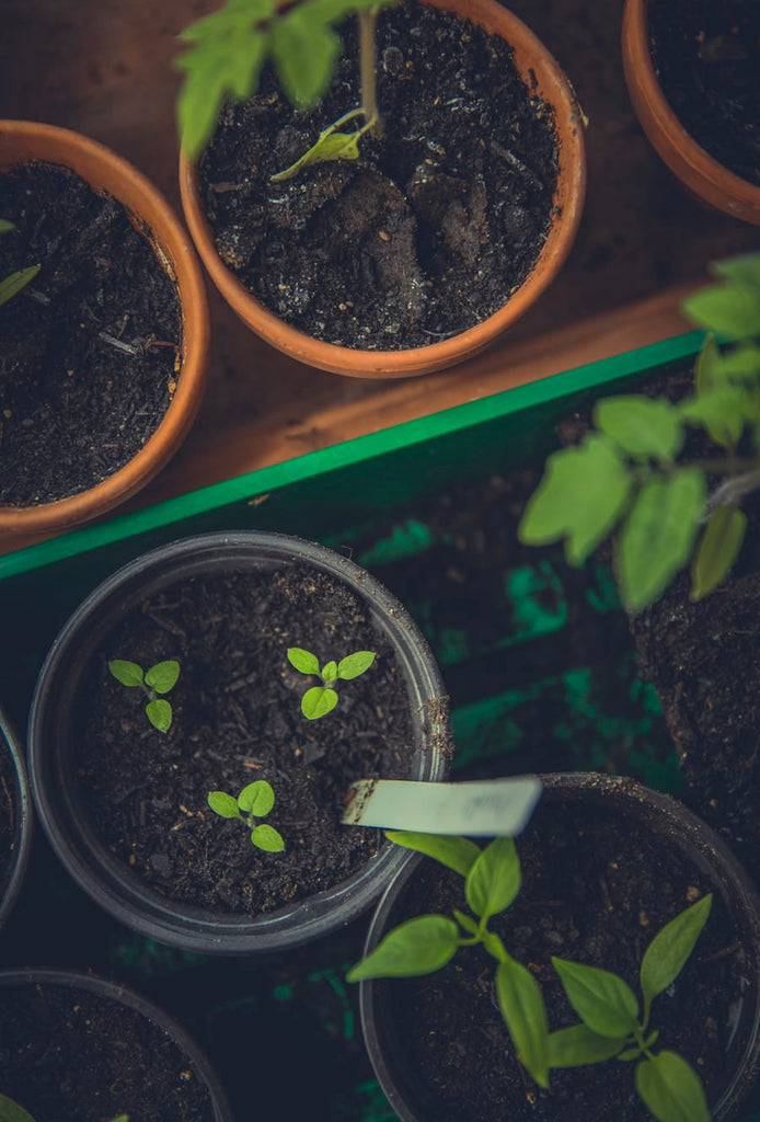 Helping your child develop a growth mindset